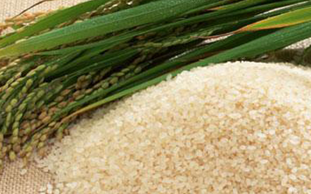 Magic rice or Komal Saul from Assam, India, needs no cooking!