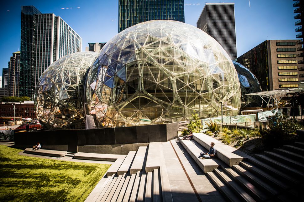 Amazon opens rainforest workplace spheres for employees in Seattle