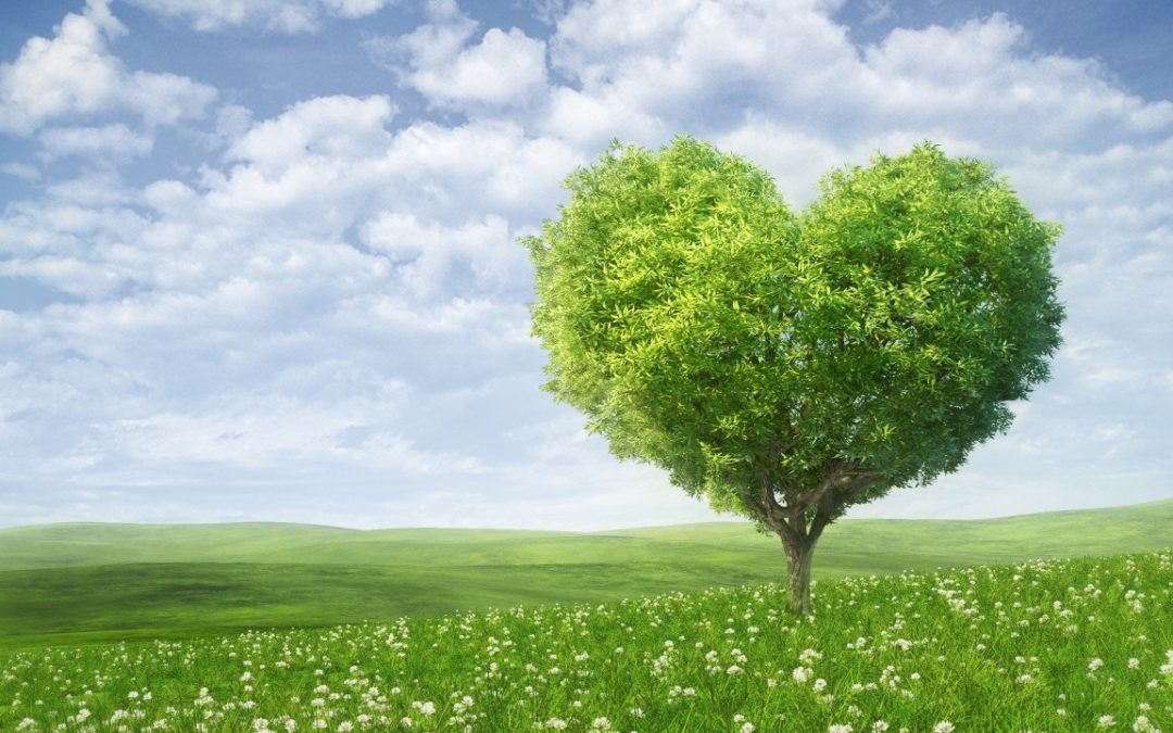 How to enjoy an environment-friendly green Valentine’s Day