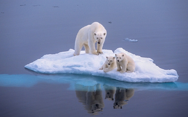How Climate Change Imagery Has Changed From Polar Bears to People