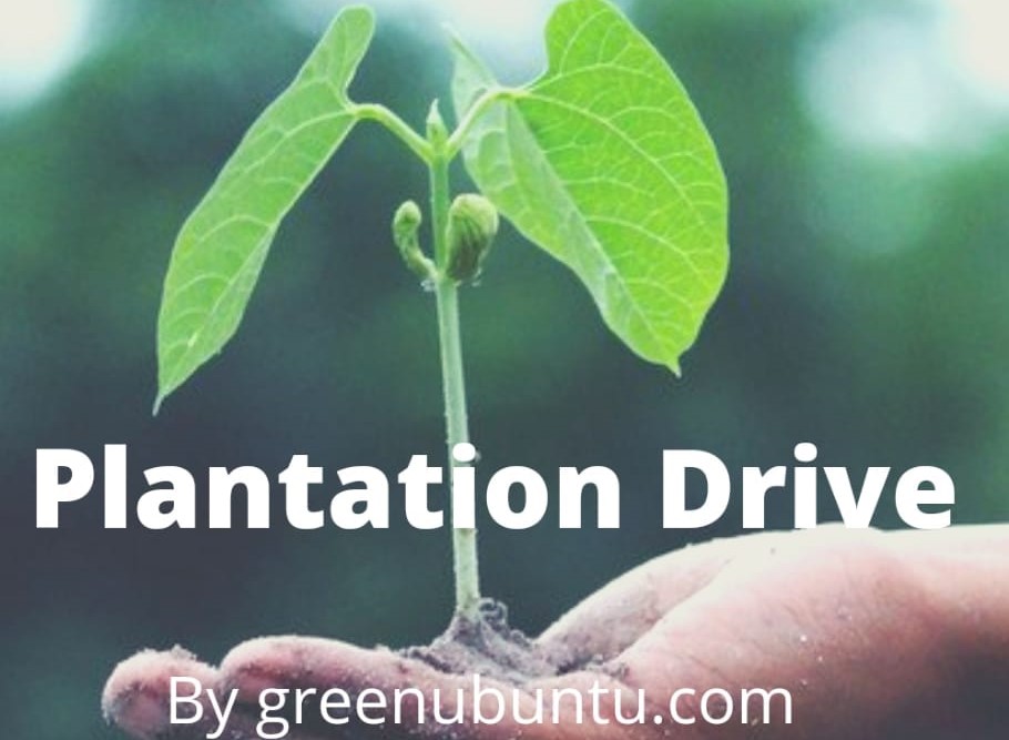 Greenubuntu To Organize Plantation Drive in Collaboration with AIIMS